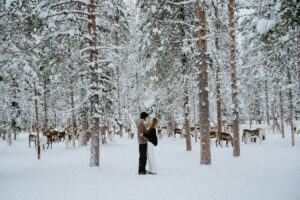 Engaged couple spending time with reindeer during a winter engagement session in Äkäslompolo, Finland