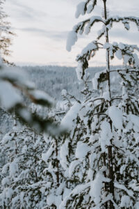 Akaslompolo Finland Winter Engagement trees in snow