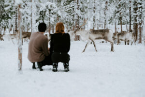 Akaslompolo Finland Winter Engagement couple looking at wild reindeer