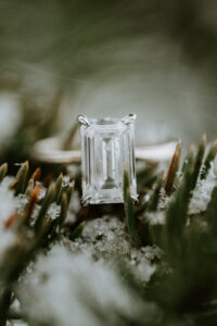 winter engagement ring on pine tree