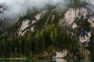 Green trees detail shot at Pragser Wildsee proposal