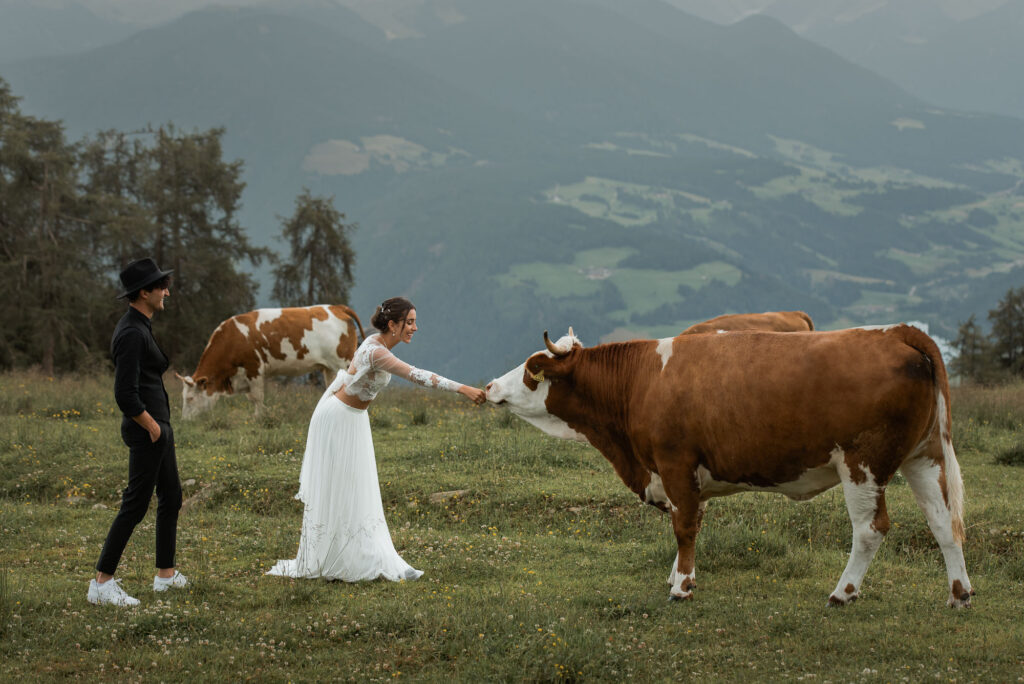 Vegan bride and groom saying hello to a cow on their elopement day